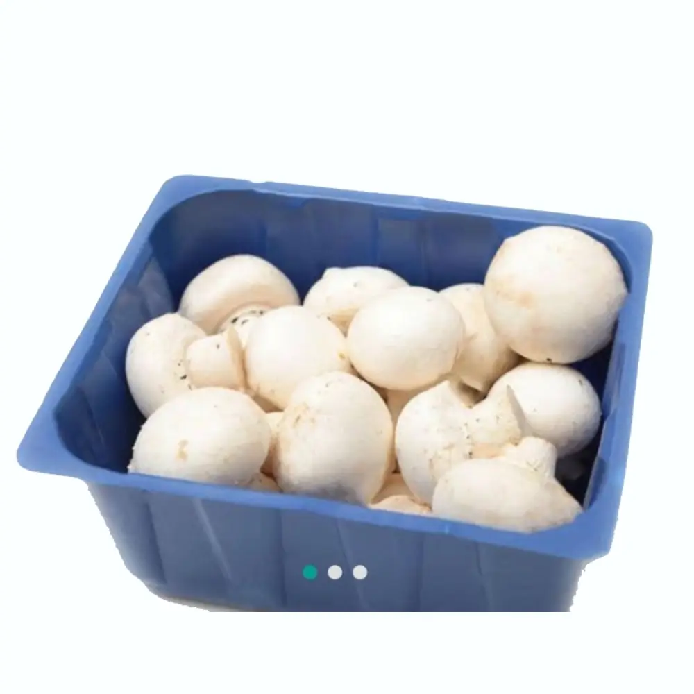 Mushroom (Button ₹2150 / Box) & Sliced (₹1400 / Box)