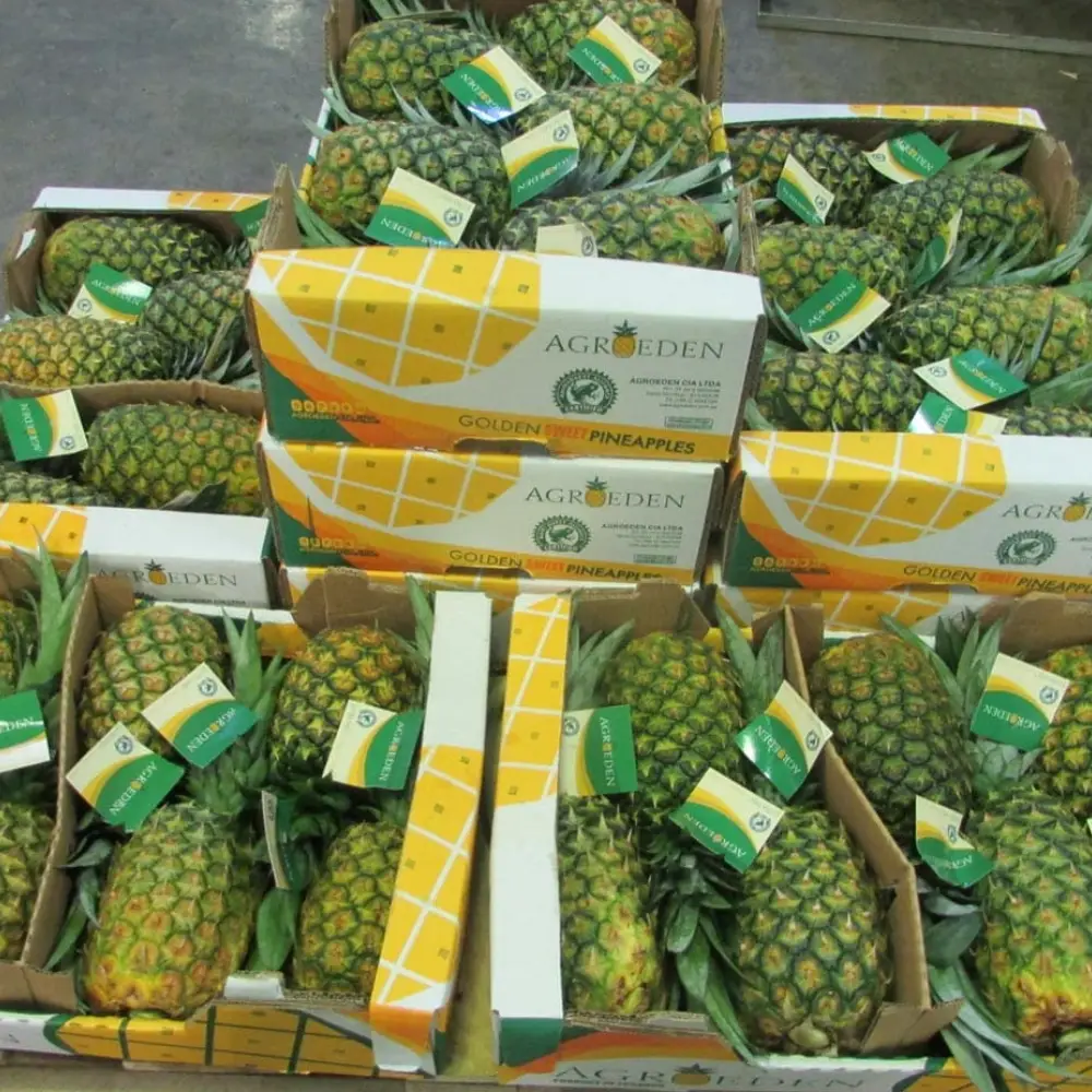 Pineapple Slices (₹1900 / Box)